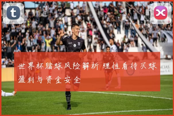 世界杯赌球风险解析 理性看待买球盈利与资金安全