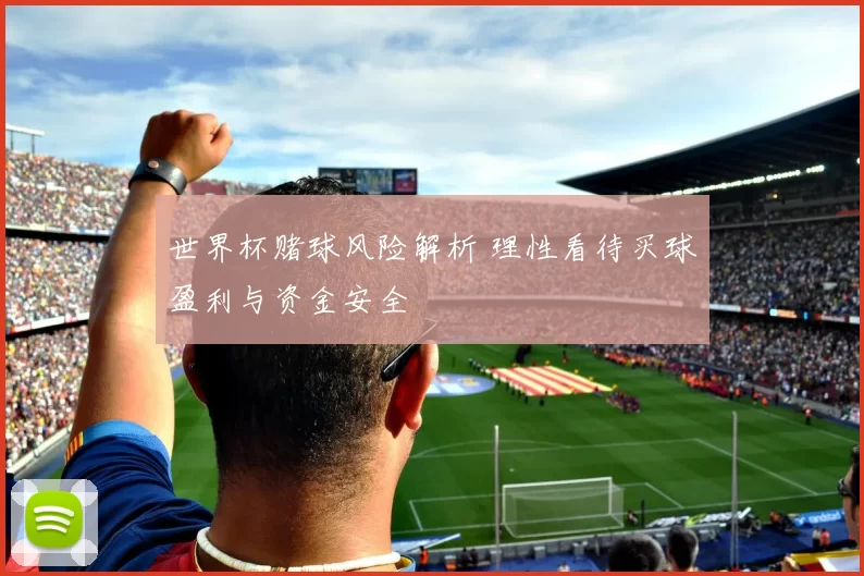 世界杯赌球风险解析 理性看待买球盈利与资金安全