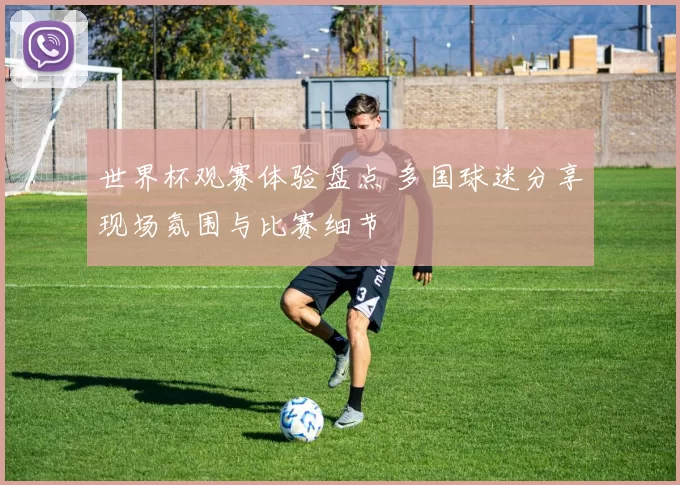 世界杯观赛体验盘点 多国球迷分享现场氛围与比赛细节