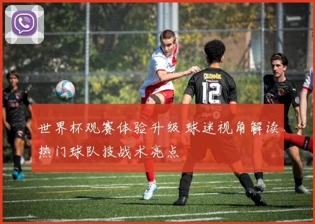 世界杯观赛体验升级 球迷视角解读热门球队技战术亮点