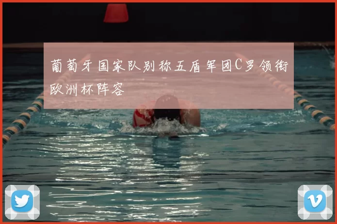 葡萄牙国家队别称五盾军团C罗领衔欧洲杯阵容