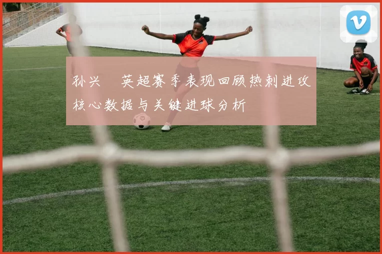 孙兴慜英超赛季表现回顾热刺进攻核心数据与关键进球分析