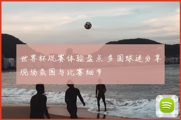 世界杯观赛体验盘点 多国球迷分享现场氛围与比赛细节